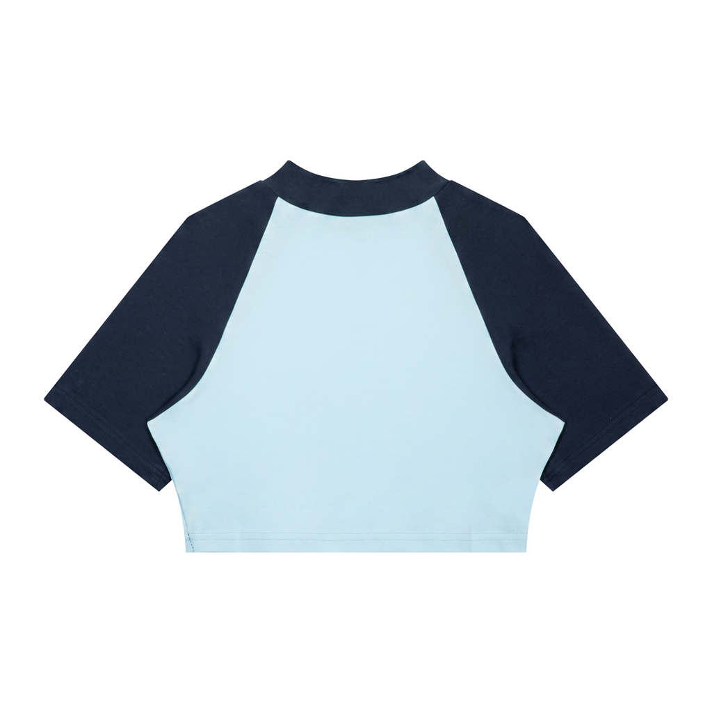 Color Block Crop Tee