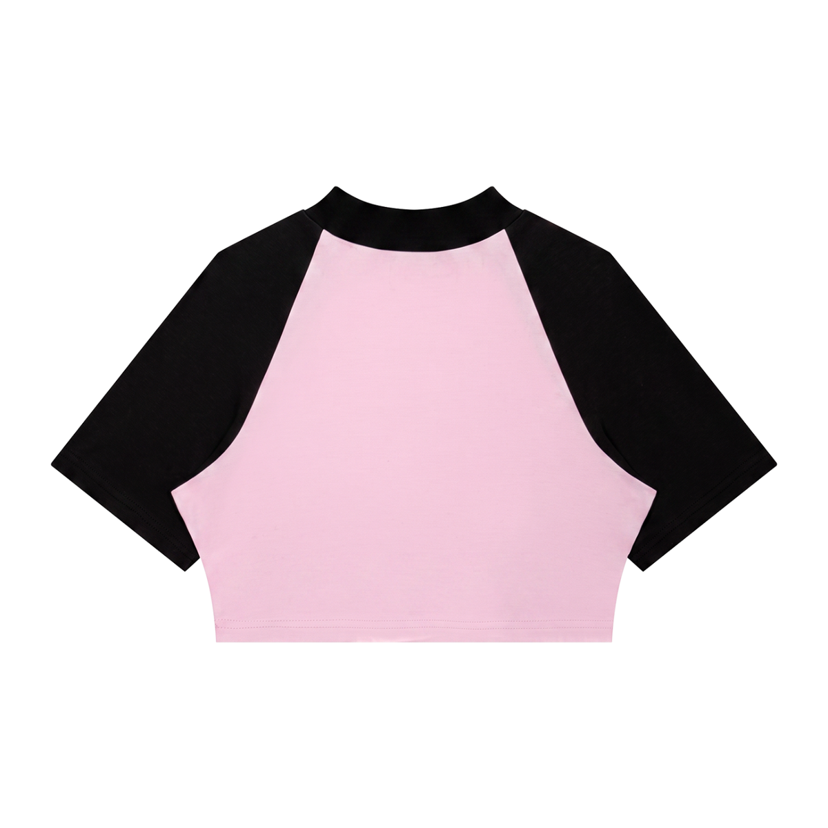 Color Block Crop Tee
